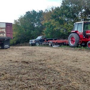 Meet your Posher, Dusty